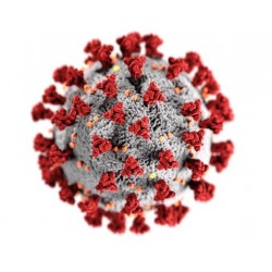 Campo Largo registra redução de novos casos de Covid-19